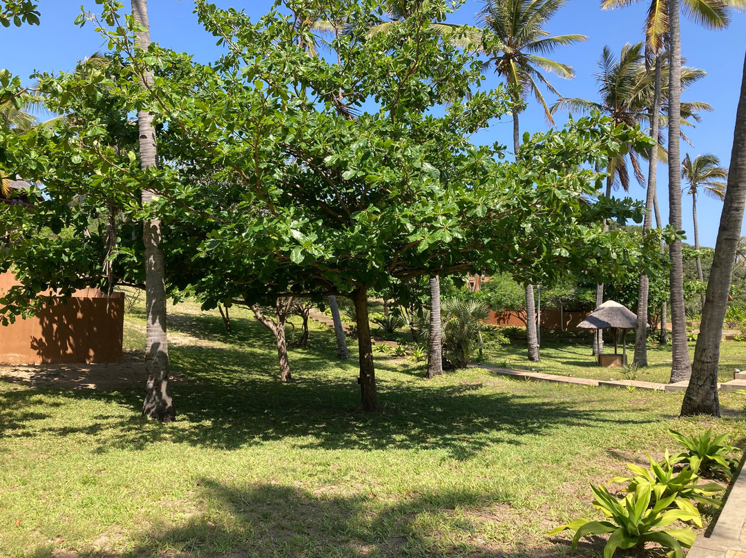 Cabana Beach Lodge