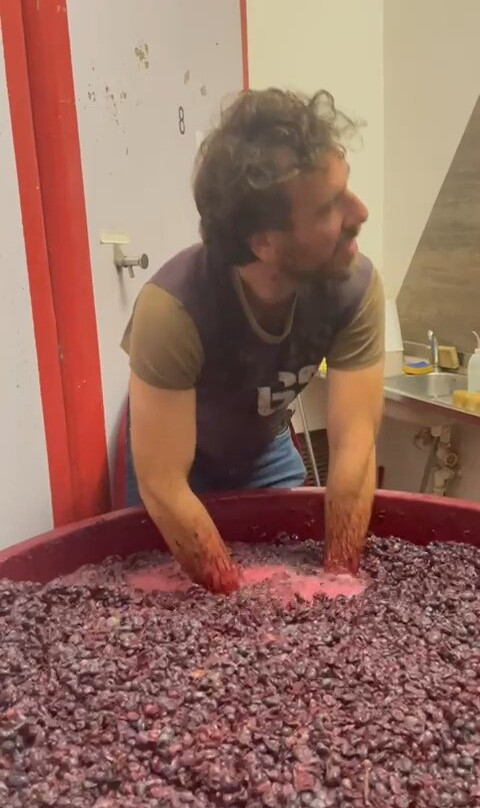 Ornina Winery景点图片