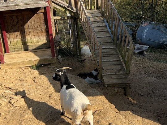 Fainting Goat Vineyards and Winery-Jasper必去景点