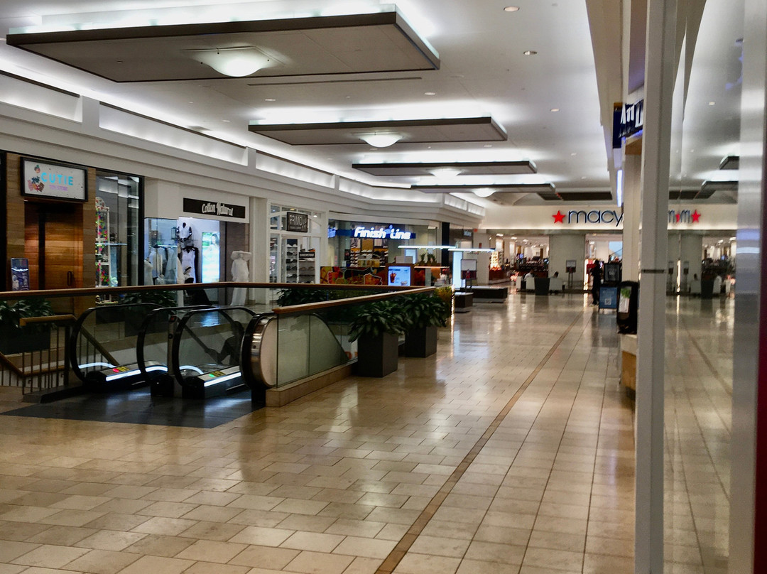 Galleria-劳德代尔堡必去景点