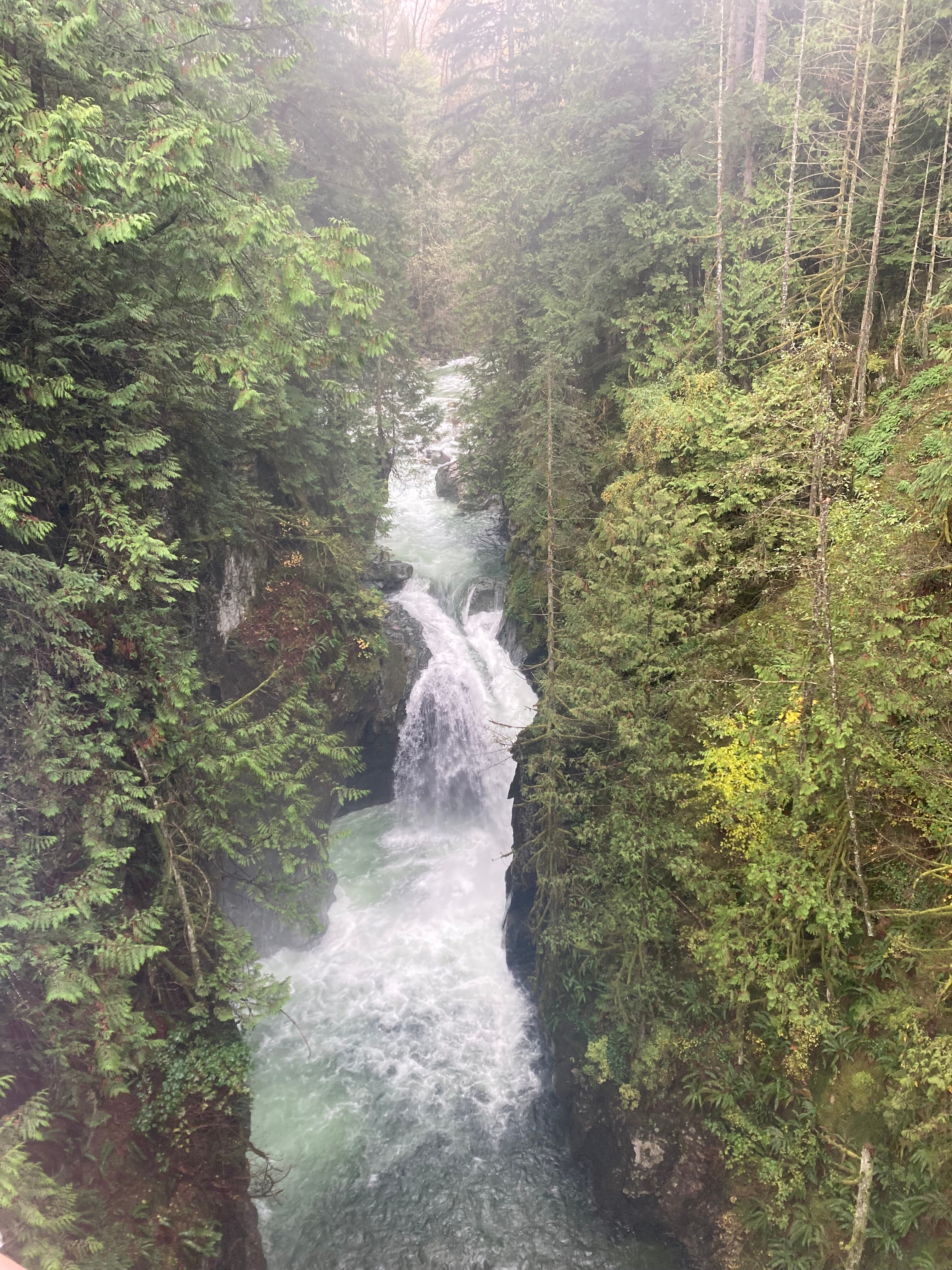 North Vancouver Hotel-官方