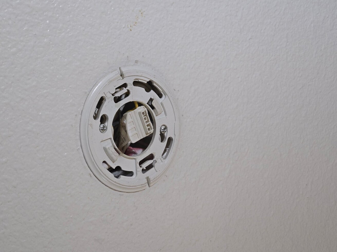 Super 8 by Wyndham Windsor主图