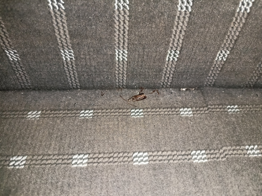 Hotel Thermana Park Lasko主图