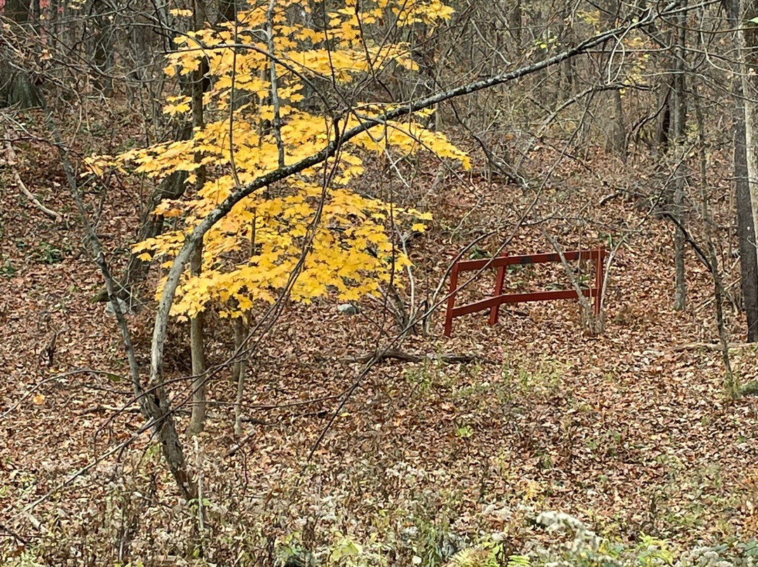 Broad Meadow Brook Conservation Center & Wildlife Sanctuary-伍斯特必去景点