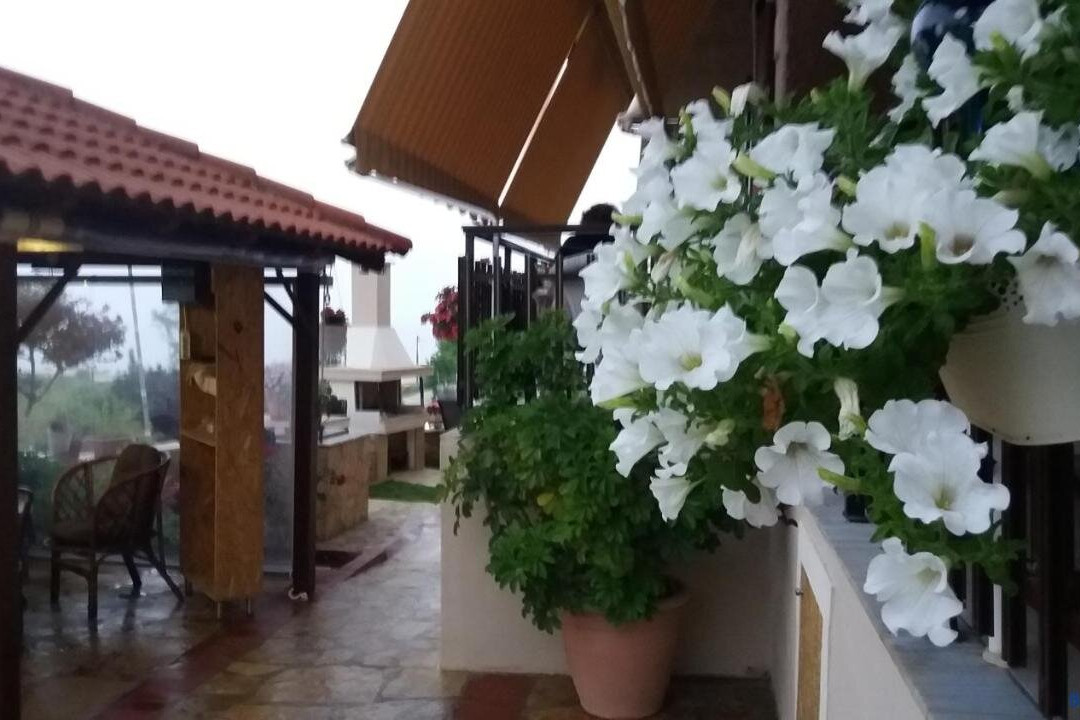 Ano Lefkimmi旅游攻略图片