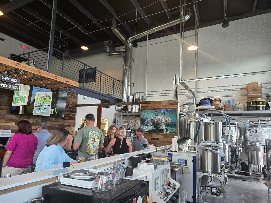 Chubby Mermaid Brewing Co.