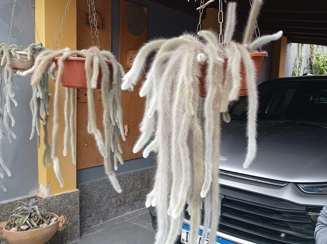 Espaço Hartãt - Acervo Indígena