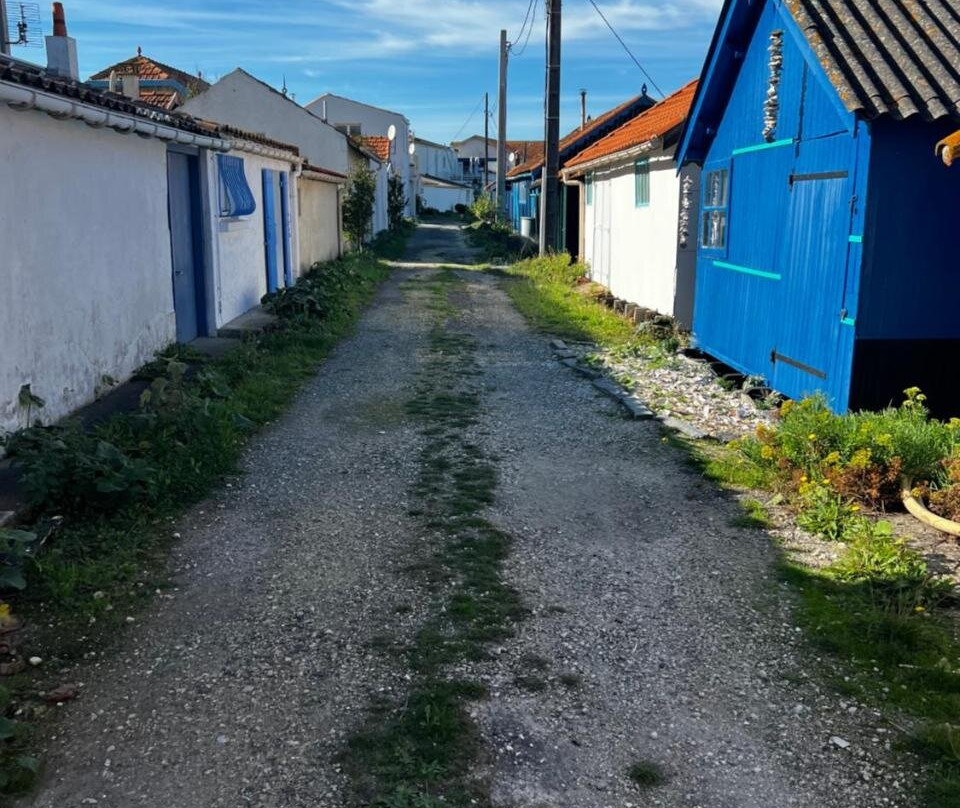 L'etoile De Mer