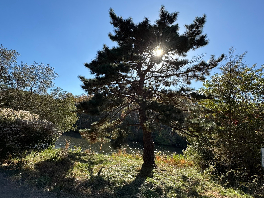 Lake Gerar Tot Lot-里霍博斯比奇必去景点