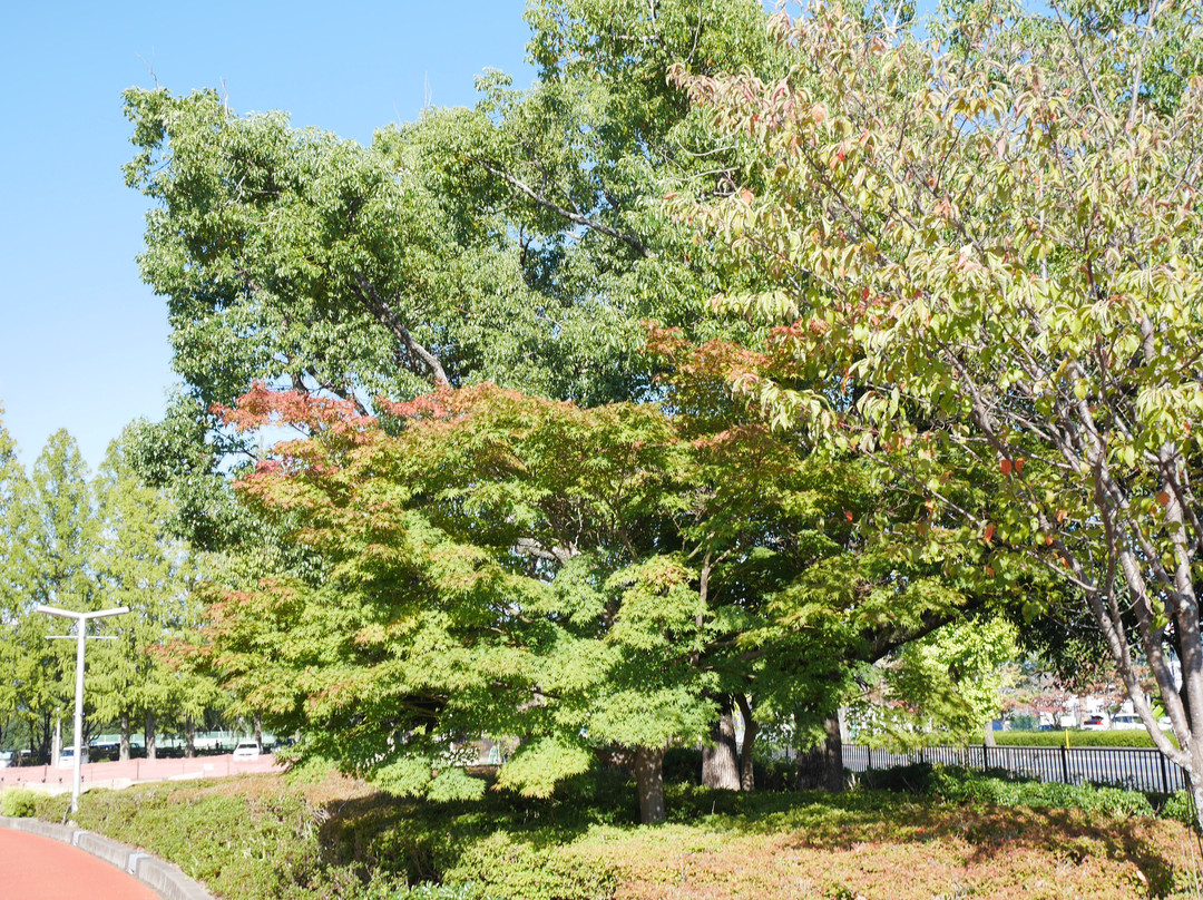 Ishin One Hundres Year Memeorial Park景点图片