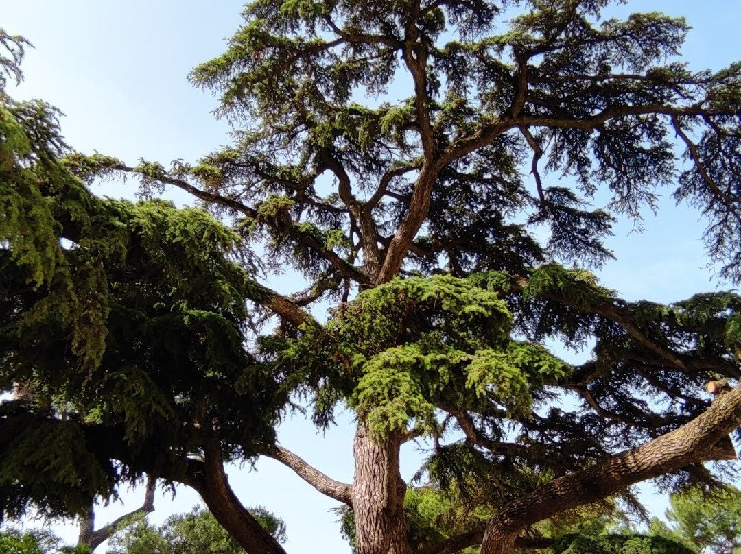 Piazzale del Girfalco-费尔莫必去景点