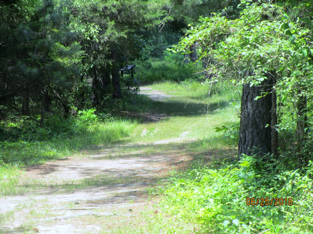 Deep Cut Loop Trail景点图片