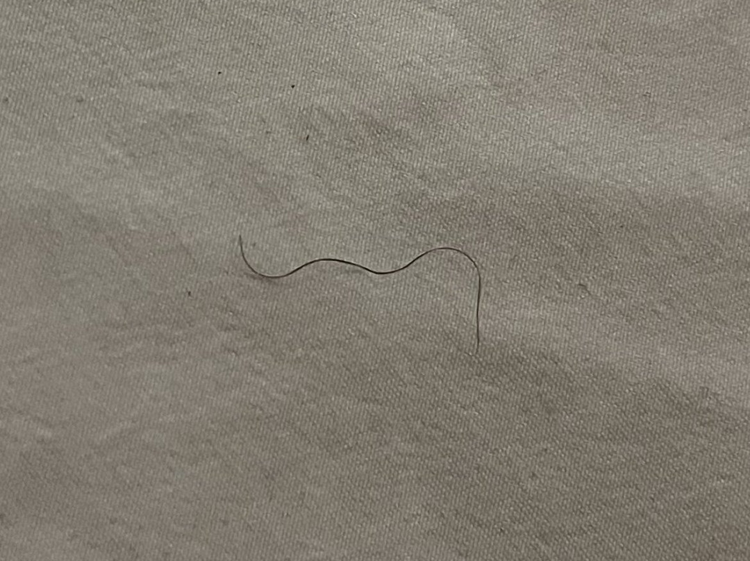 My Place Hotel - Kansas City / Independence, MO主图