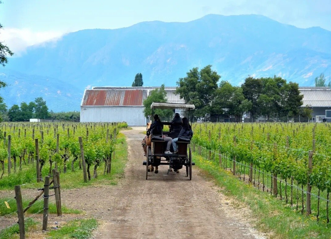 Queulat Expediciones-圣地亚哥必去景点