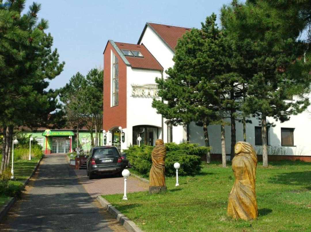 Marianske Radcice酒店住宿-Hotel Sirak