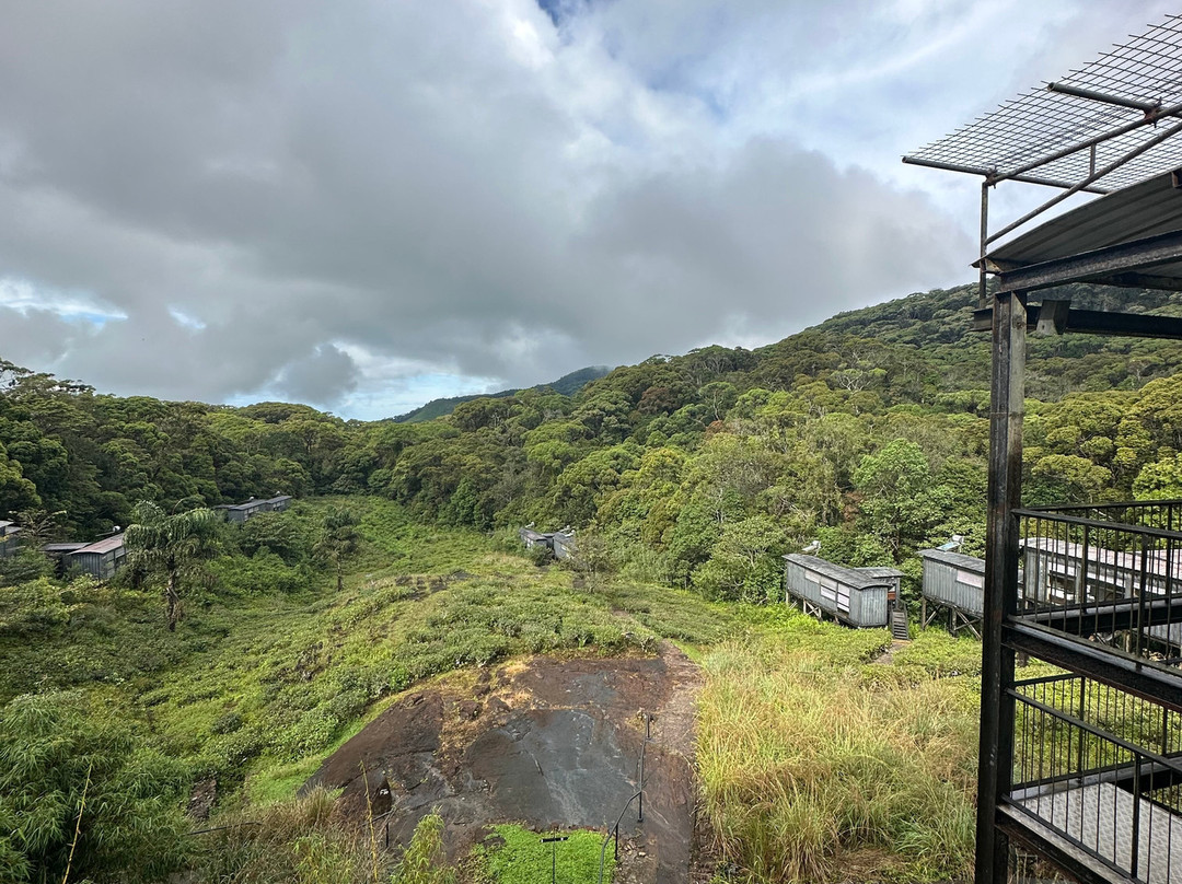 Rainforest Ecolodge主图