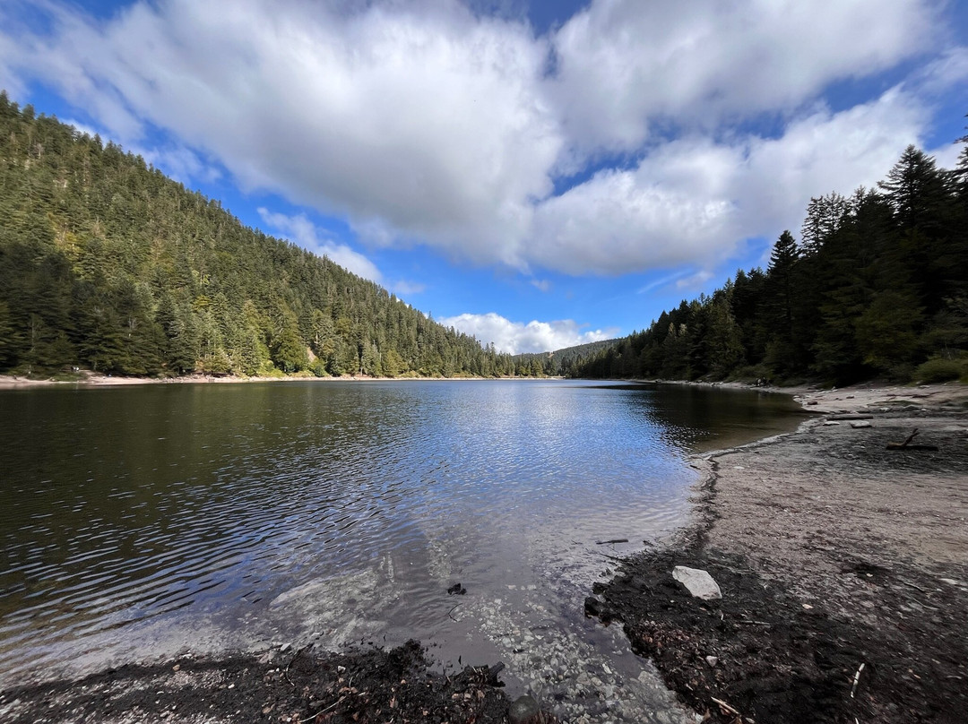 Le Lac des Corbeaux-La Bresse必去景点