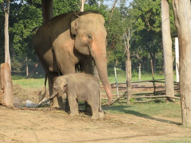 Misterioso Nepal Aventura-Bhatbhateni必去景点