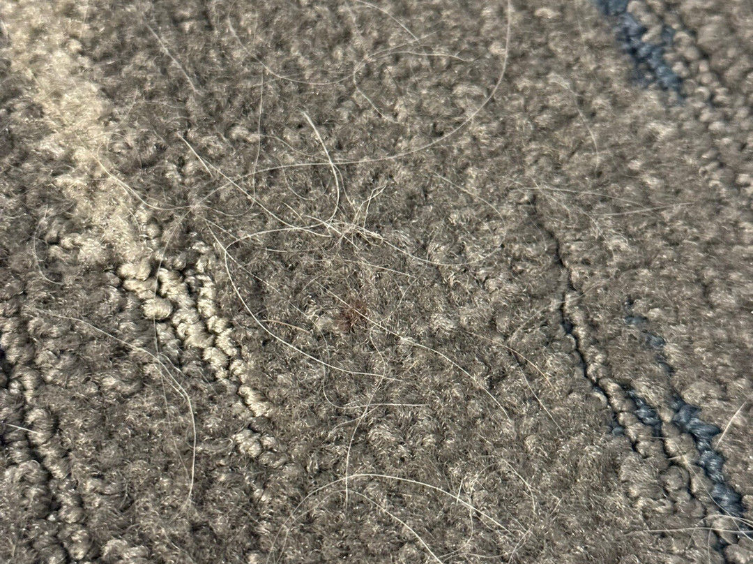 Hampton Inn & Suites Macclenny I-10主图