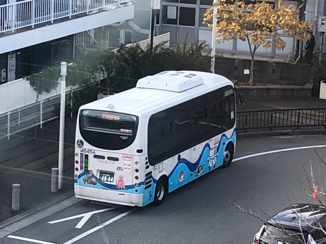 Akashi City Taco Bus-明石市必去景点