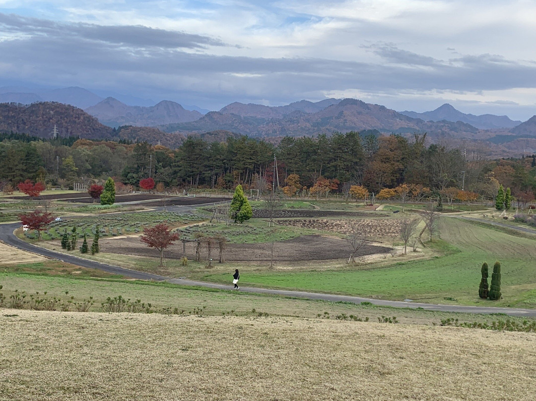Ashizawa Plateau Herbal Park景点图片