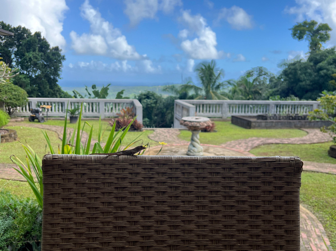 EL Yunque Rainforest Inn主图