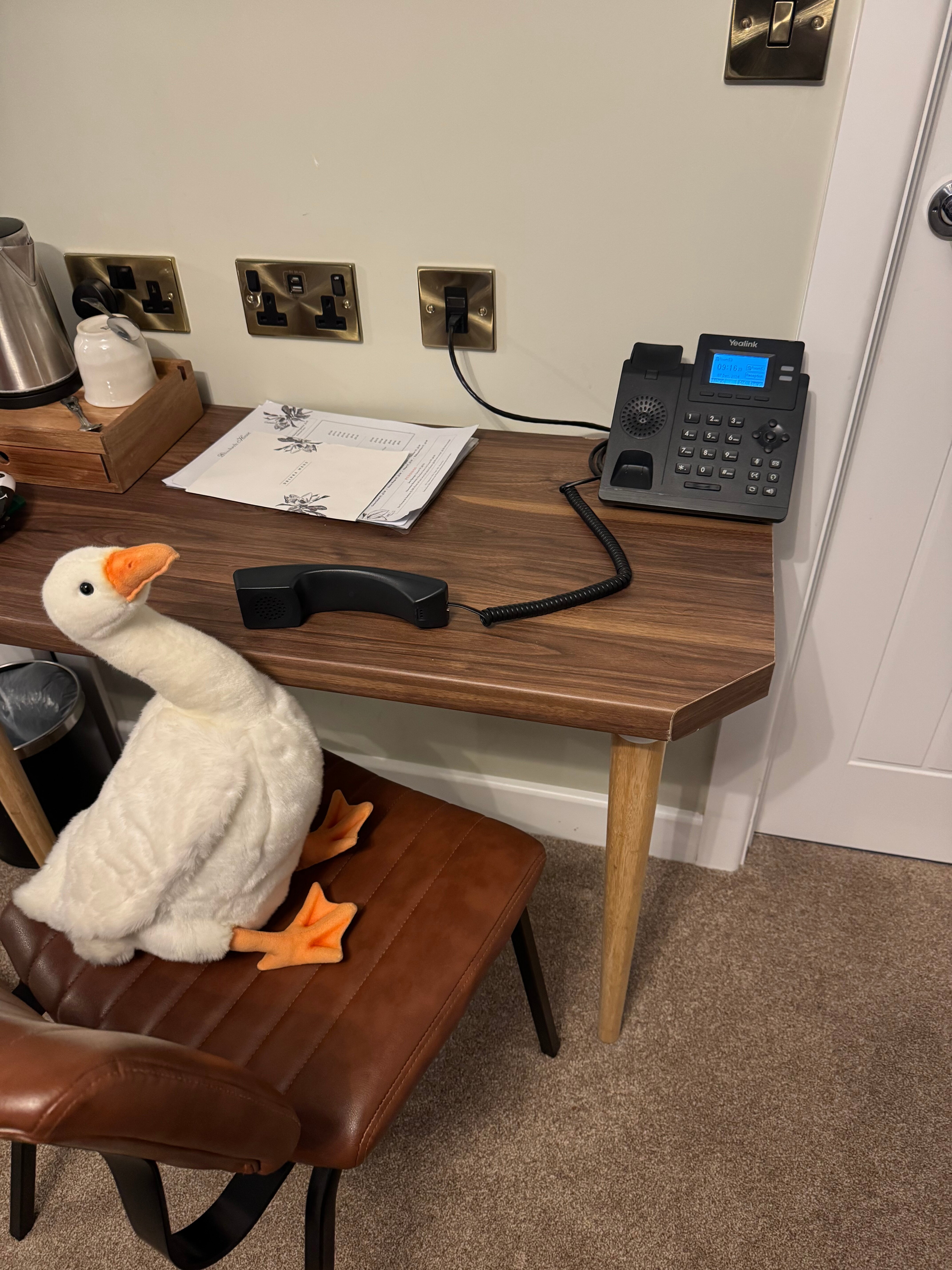 伊丽莎白别墅酒店-客卧