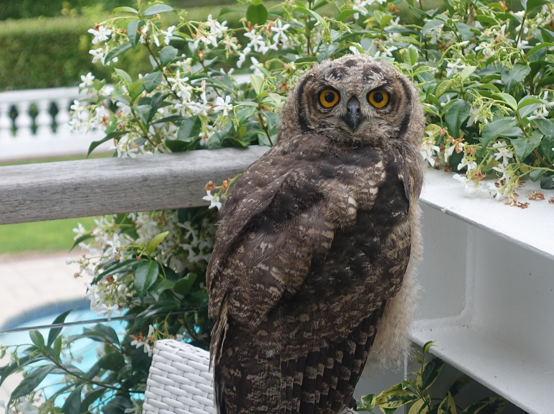 凡考特酒店主图