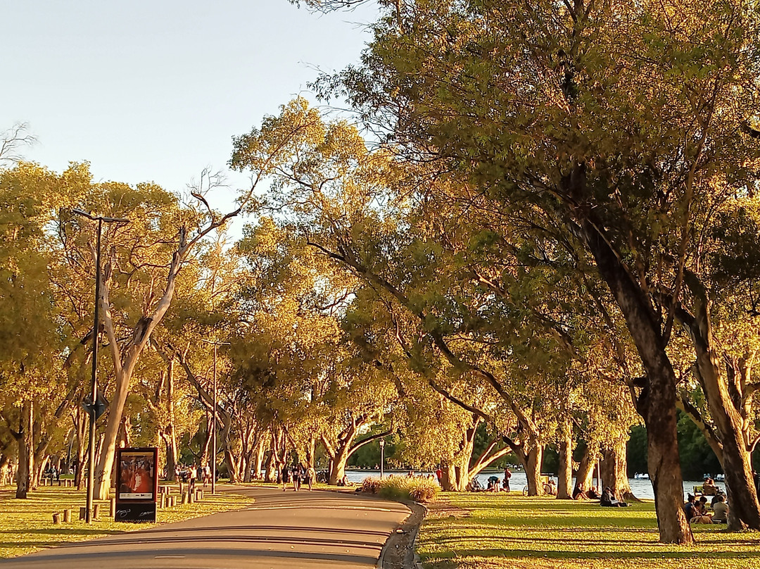 Lago de Regatas-布宜诺斯艾利斯必去景点