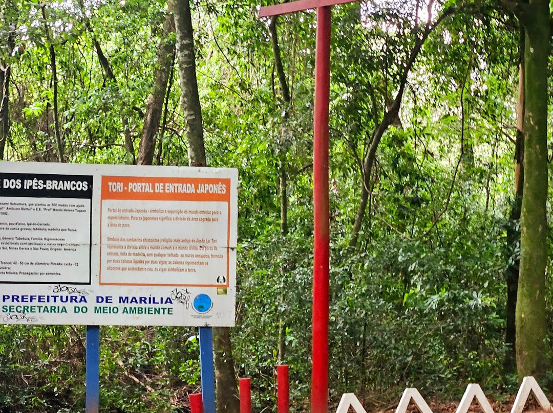 Bosque Municipal Rangel Pietraroia景点图片