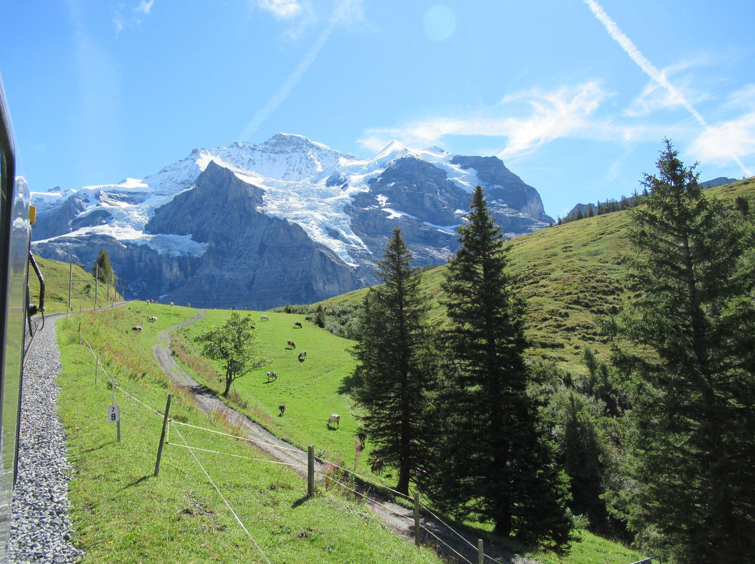 Wengernalpbahn-劳特布龙嫩必去景点