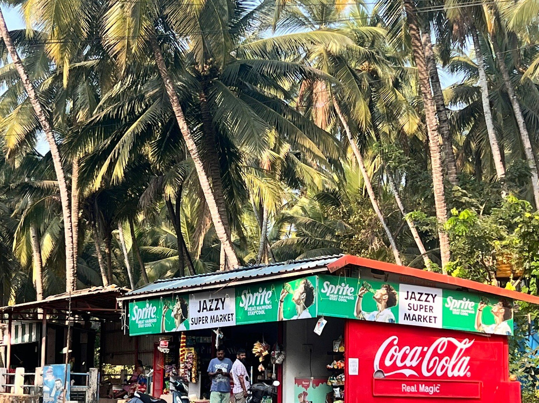 Bogmalo Beach景点图片