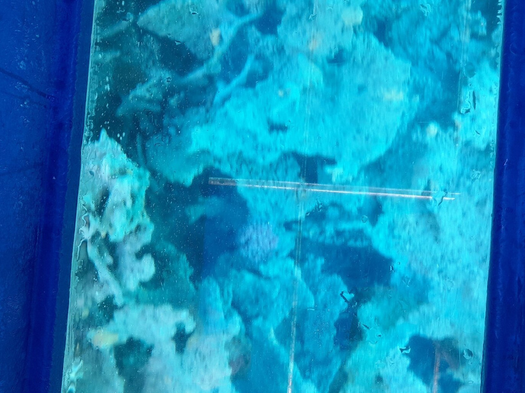 Blue Bay Marine Park-马喜埔必去景点