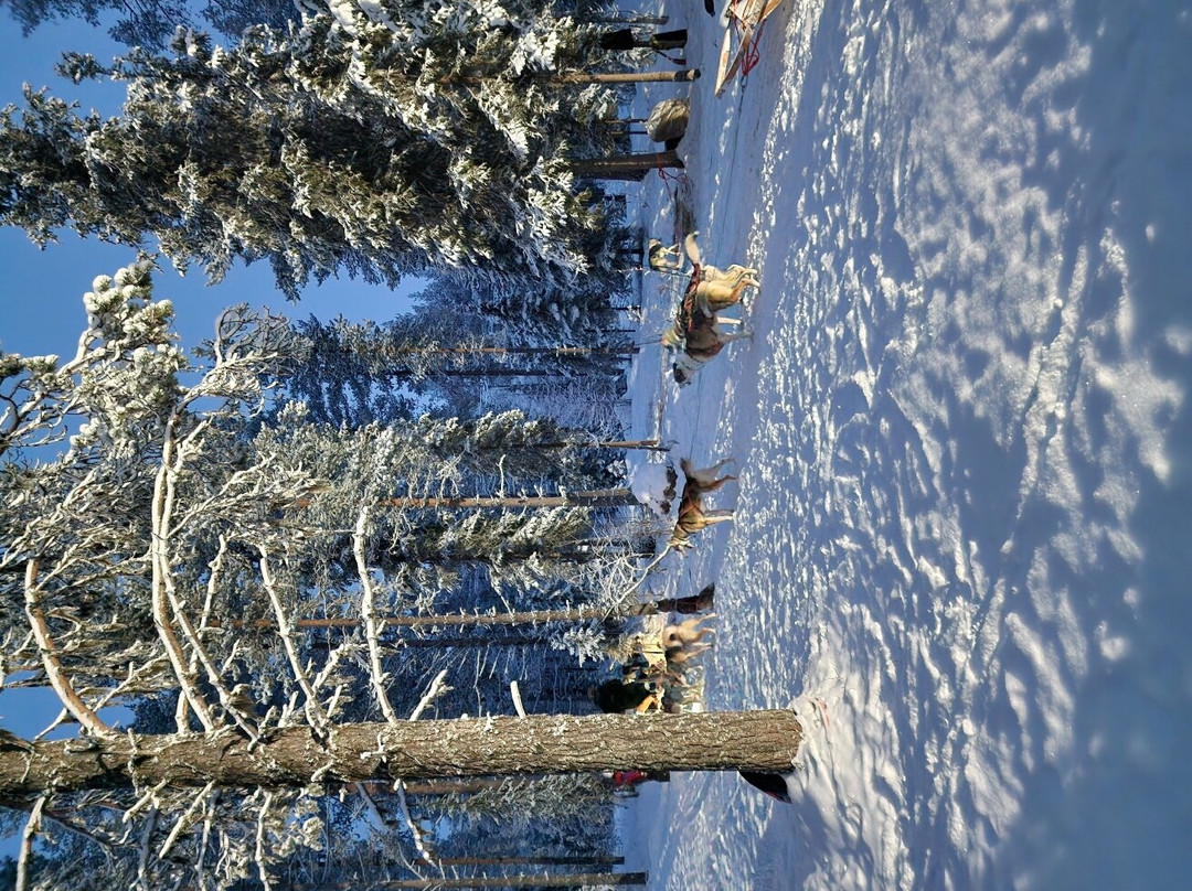 Lapland Hotels Äkäshotelli主图