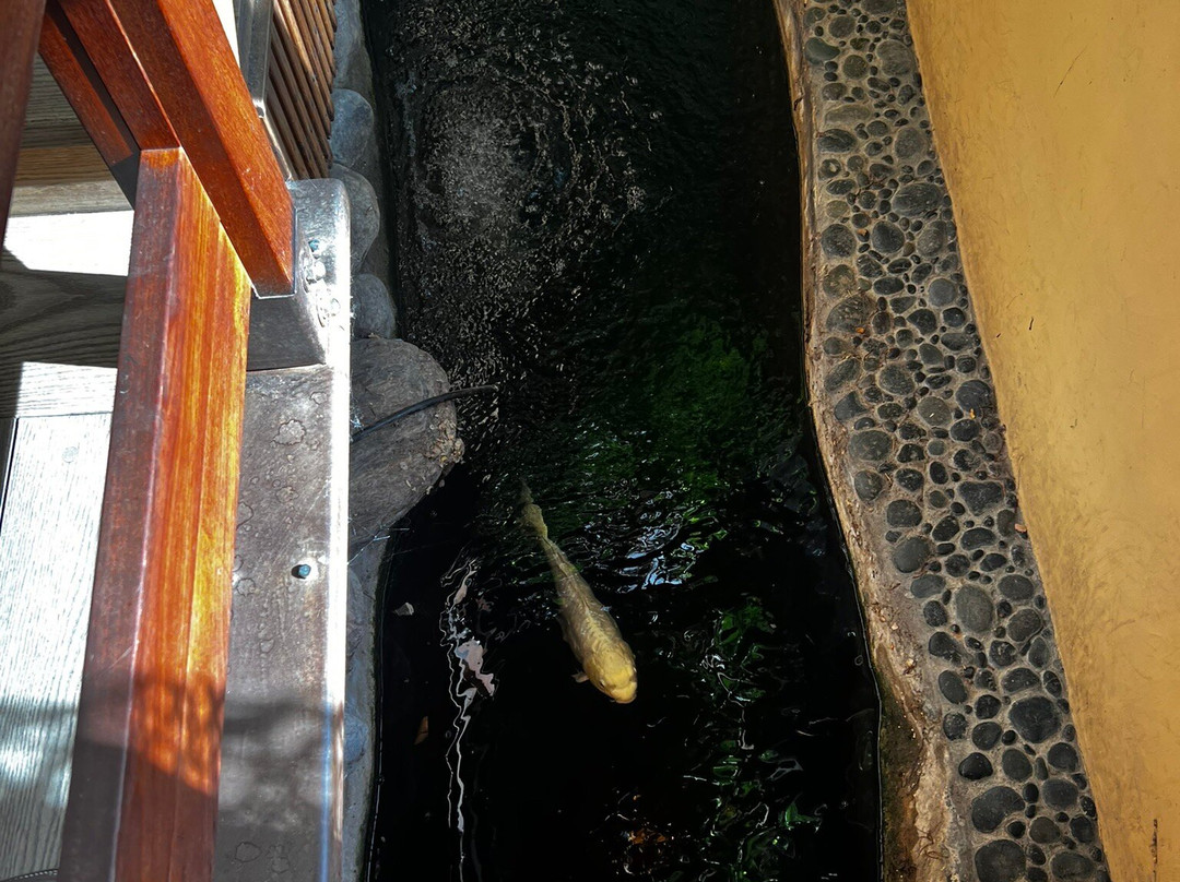 Ten Thousand Waves主图