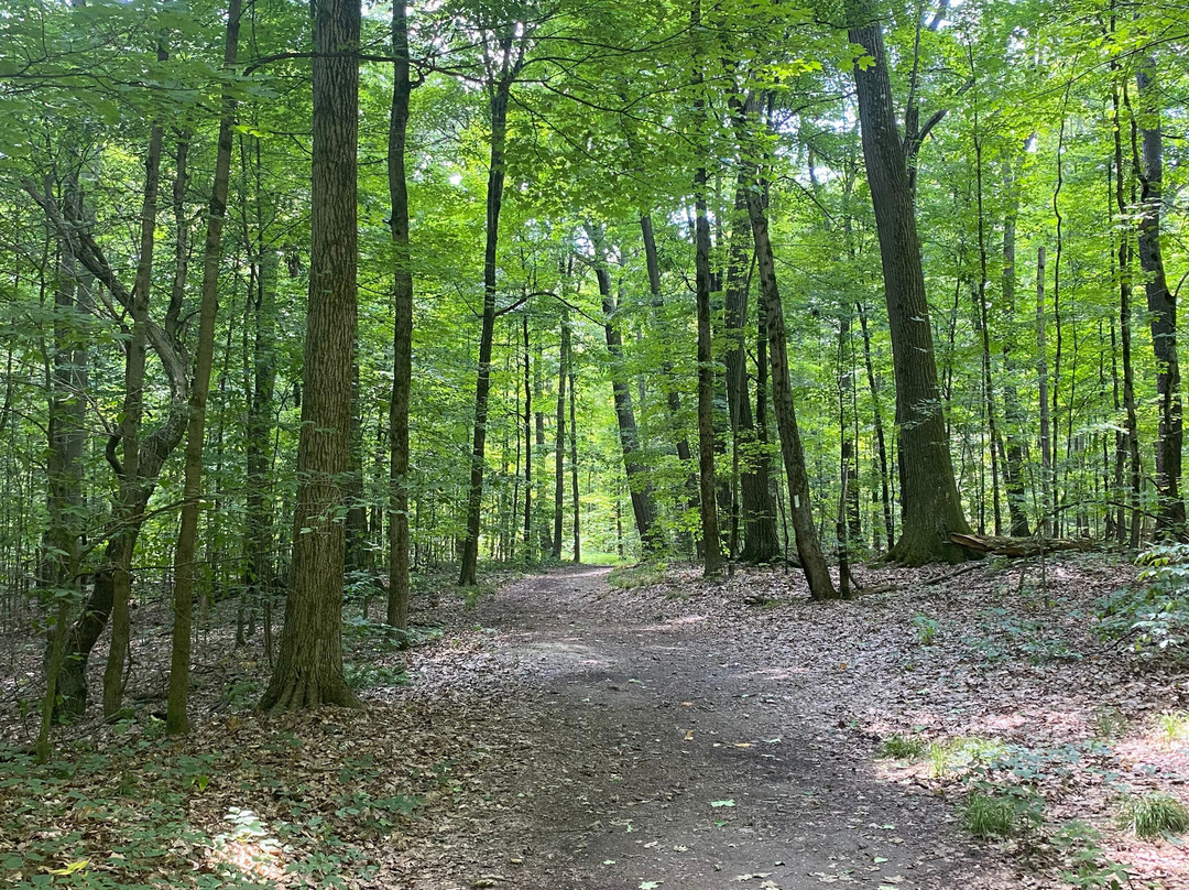 Nelson-Kennedy Ledges State Park-Nelson必去景点