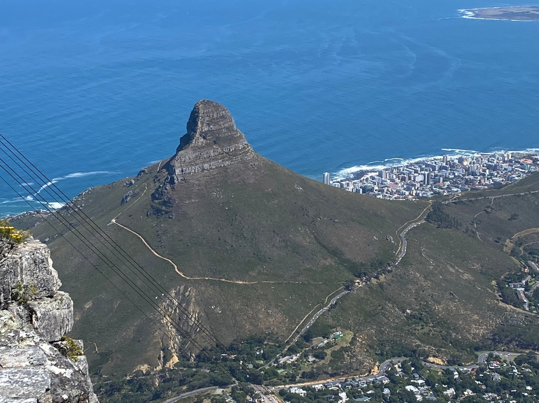 African Safari Guru-开普敦中心区必去景点
