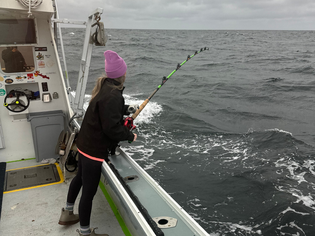Pinwheel Tuna Fishing景点图片