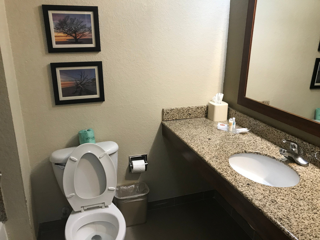 Waverly酒店住宿-Comfort Suites Brunswick