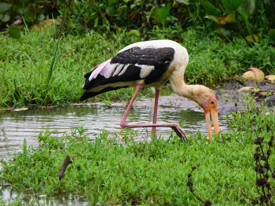 蒂瑟默哈拉默湖-蒂瑟默哈拉默必去景点