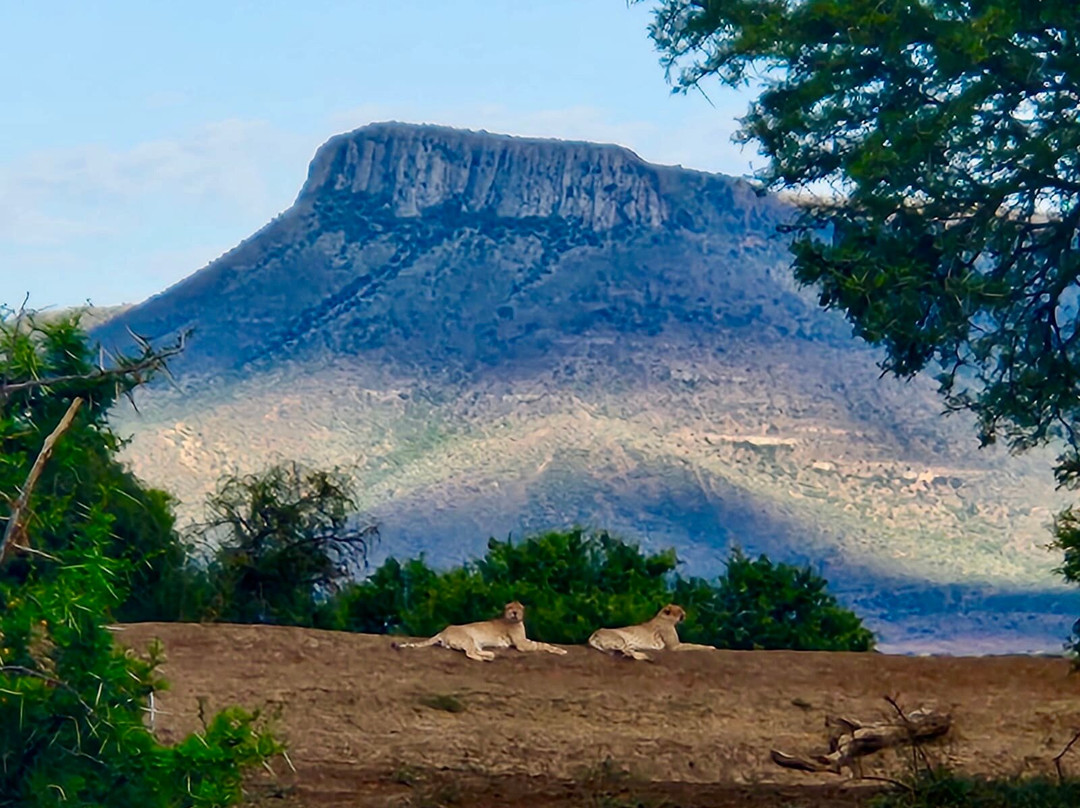 Samara Karoo Reserve主图