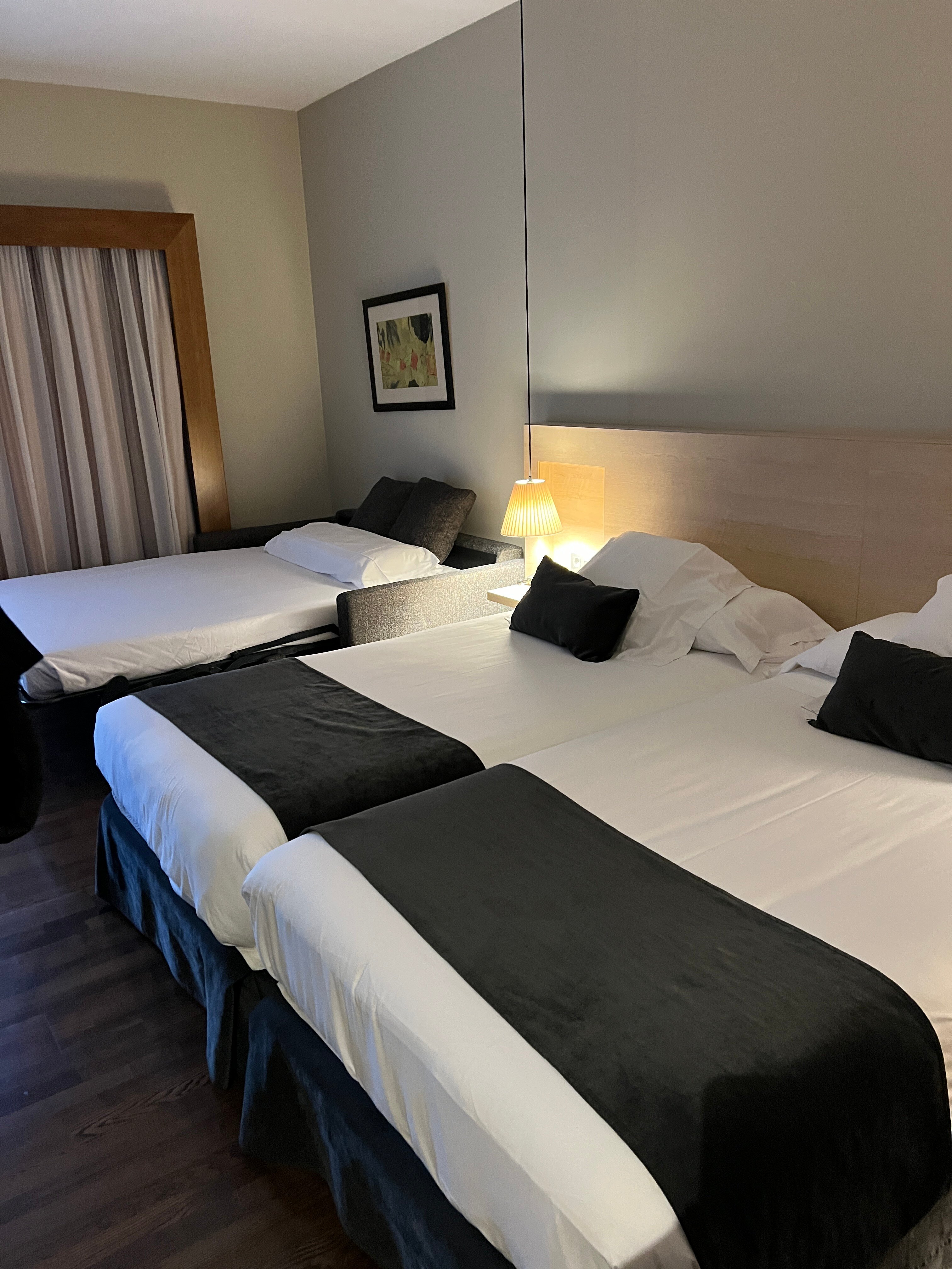 Hotel Spa Attica 21 Villalba-客卧