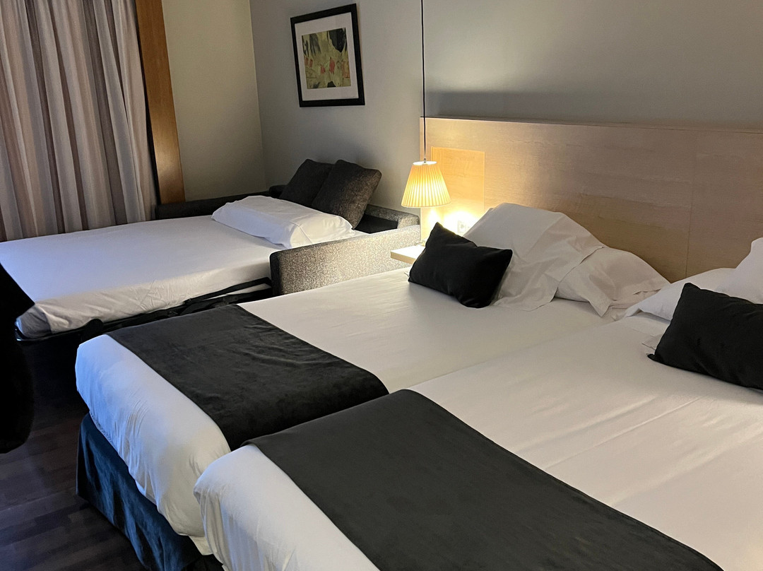 Hotel Spa Attica 21 Villalba主图