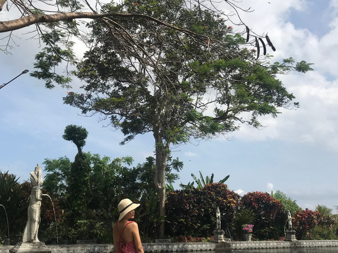 North Bali Private Car Transport-Buleleng必去景点