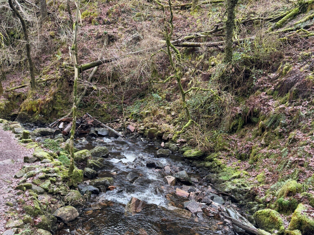 Stanley Ghyll Force Waterfall景点图片