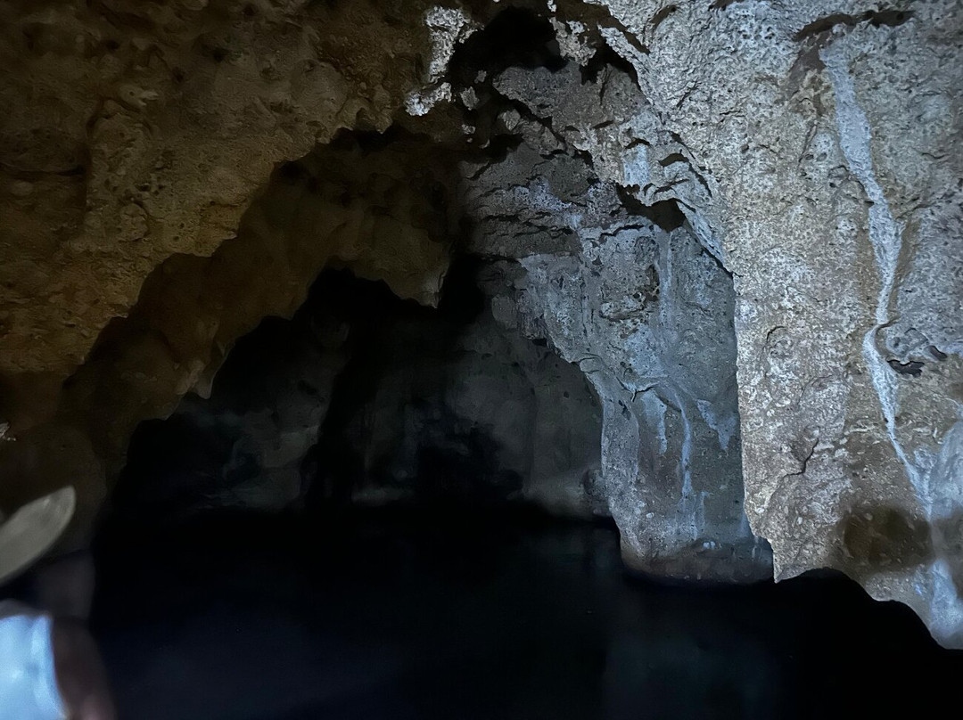 Slave Caves-Shimoni必去景点