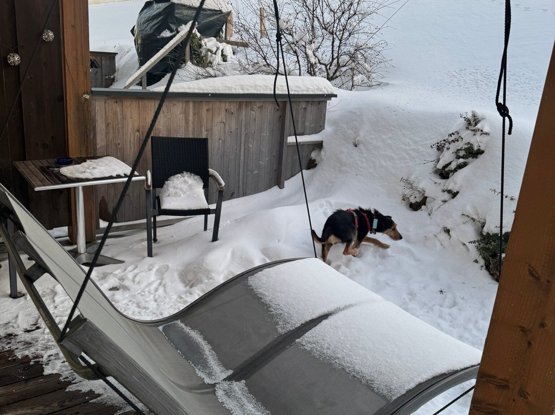 Landhotel Sportalm主图