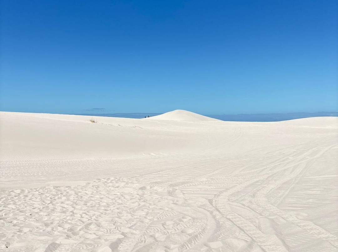WildX Adventures Atlantis White Sand Dunes-开普敦中心区必去景点