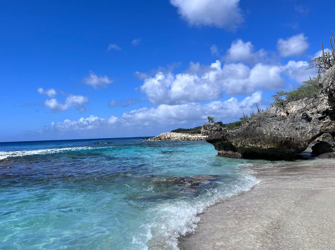 Washington Slagbaai National Park