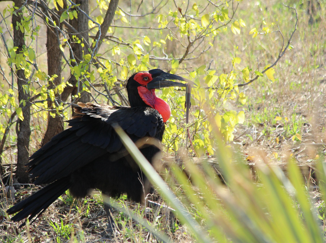 L'œil Sauvage - Wildlife Experience-霍德斯普鲁特必去景点